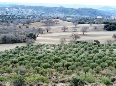 Terreno residencial en venta en Valdemorillo pueblo