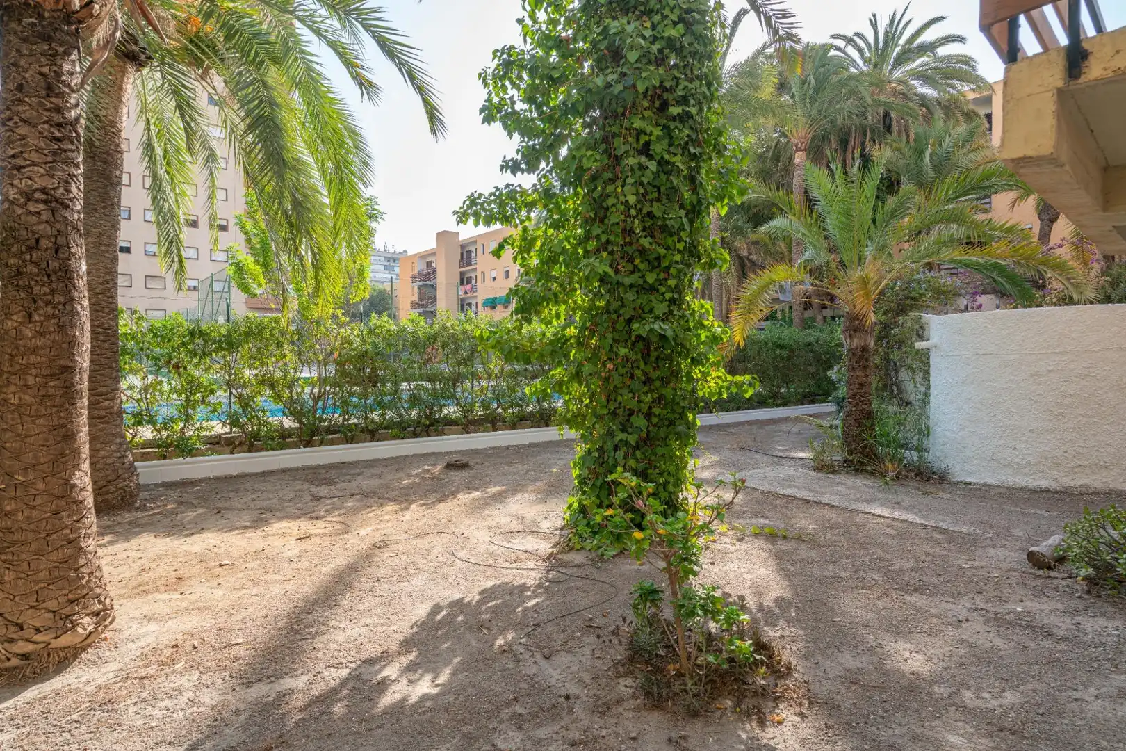 Garden of Apartments for rent in Roquetas de Mar  with Furnished and Balcony