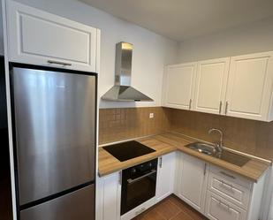 Kitchen of Flat to rent in Santa Lucía de Tirajana