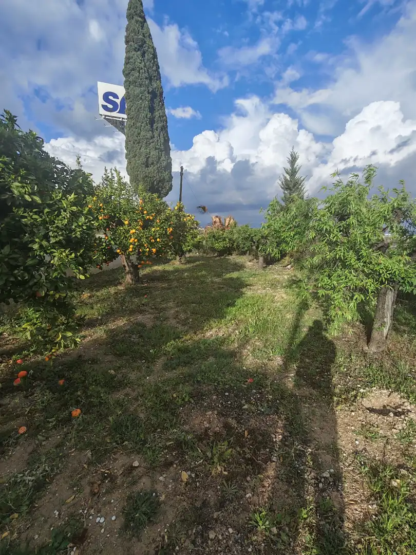 Casa o xalet en venda en Murcia amb Calefacció, Jardí privat i Terrassa
