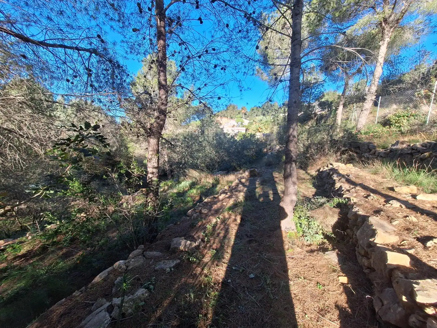 Terreny residencial en venda a El Montgó, imagen 20