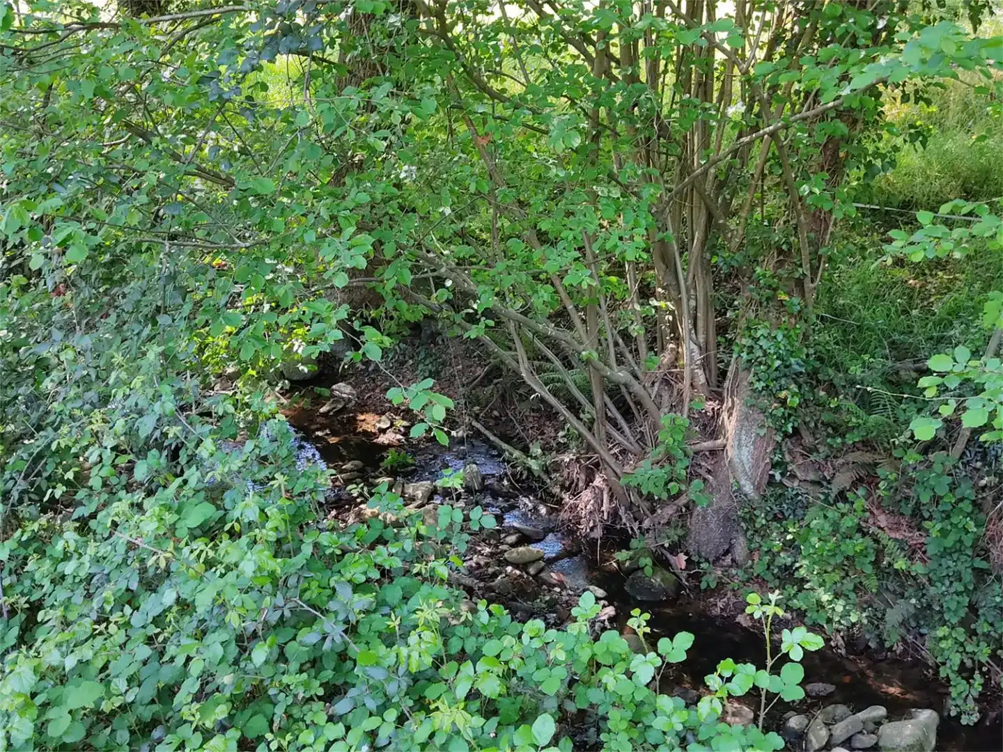 Grundstücke zum Verkauf in Idiazabal