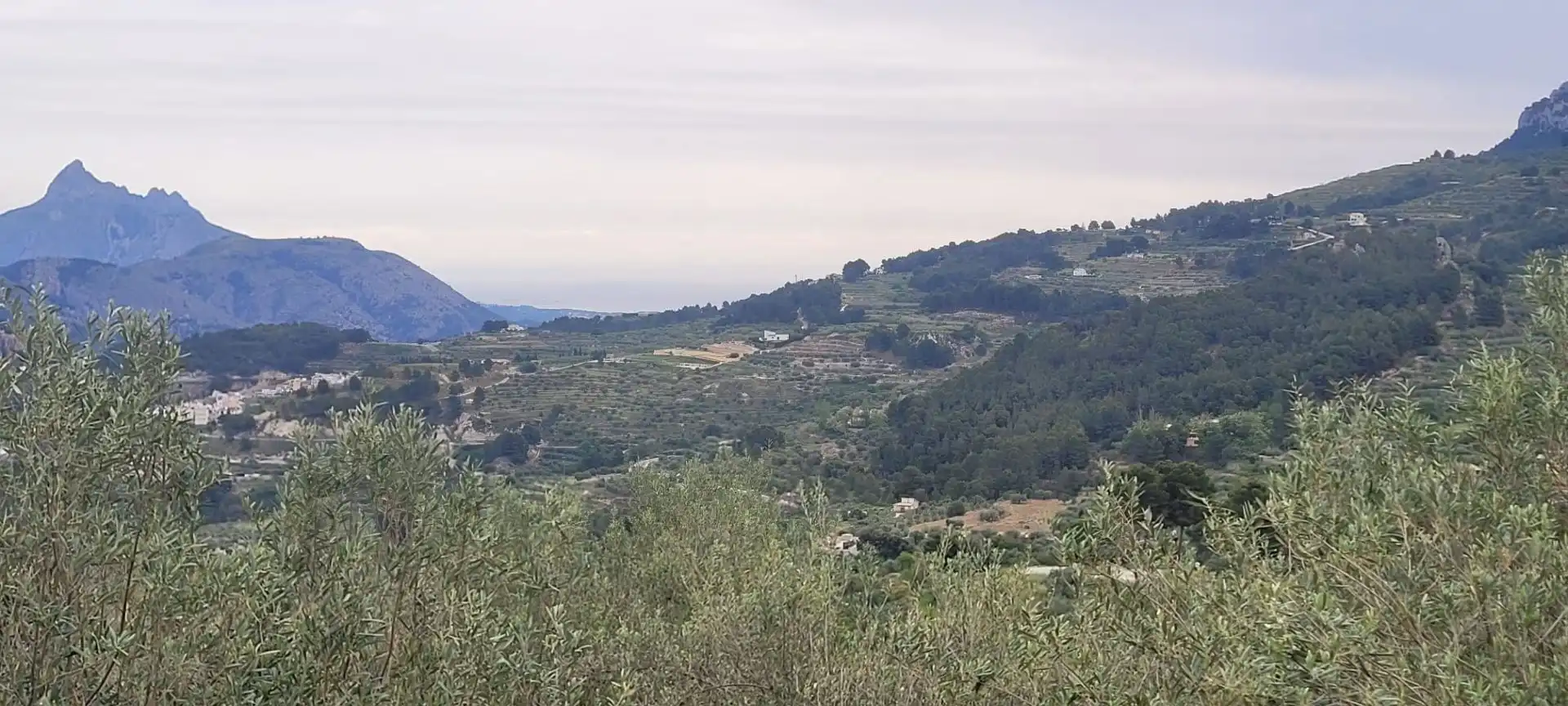 Terrenys i solars en venda a Benifato