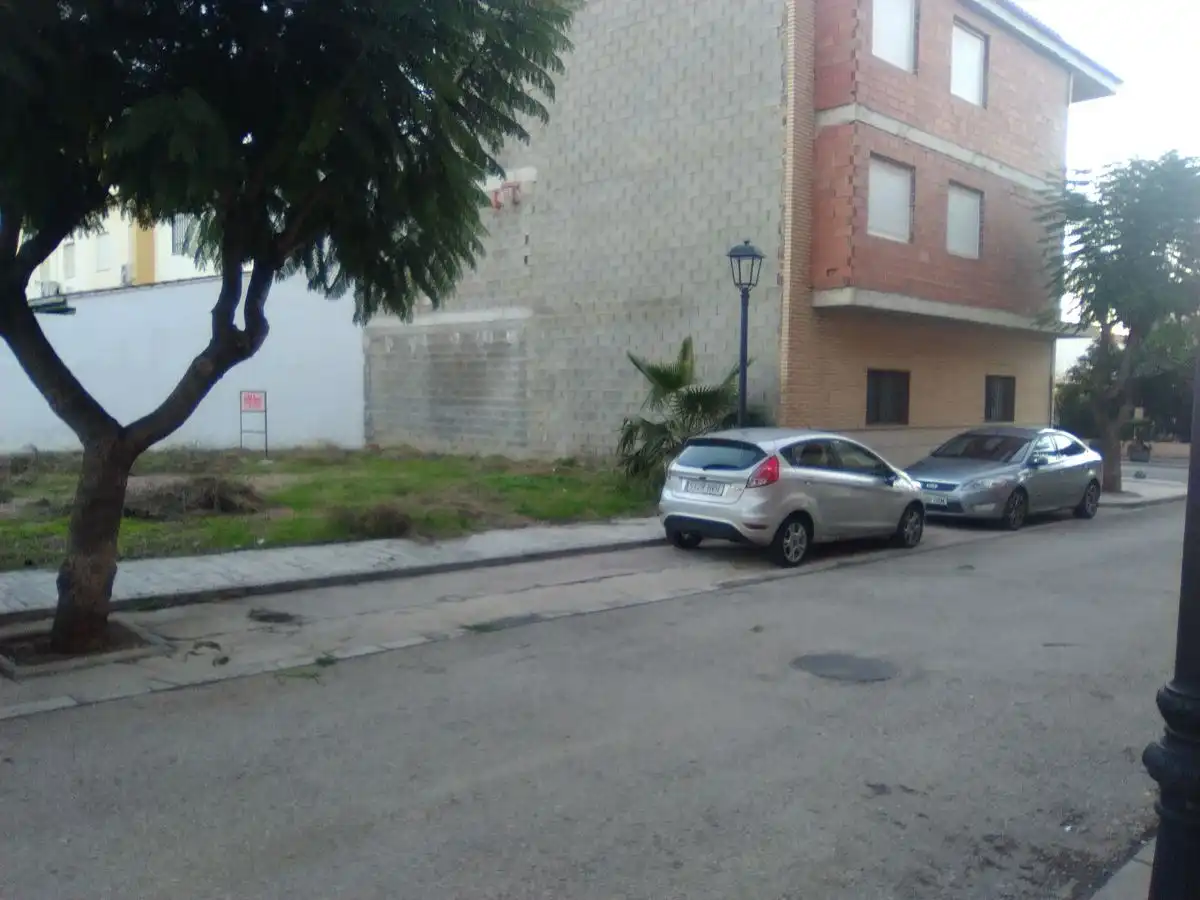 Terreno rústico en venta en Algímia de Alfara, imagen 12