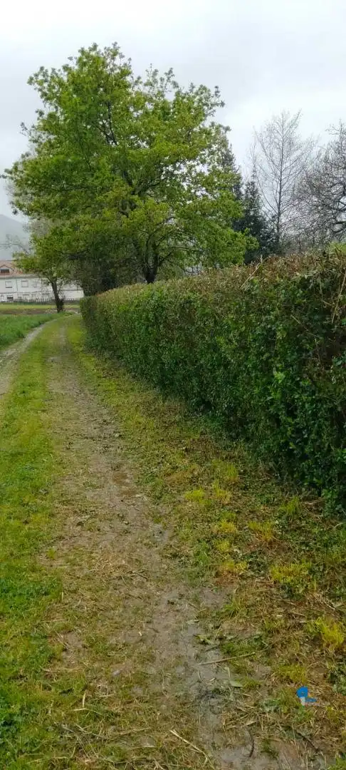 Terreni e lotti in vendita a Rasines, imagen 6