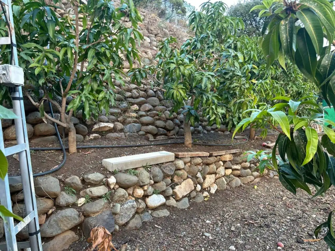 Jardí de Finca rústica en venda en Estepona amb Aire condicionat, Calefacció i Jardí privat