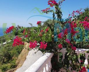 Garden of Country house to rent in Almuñécar  with Terrace and Community pool