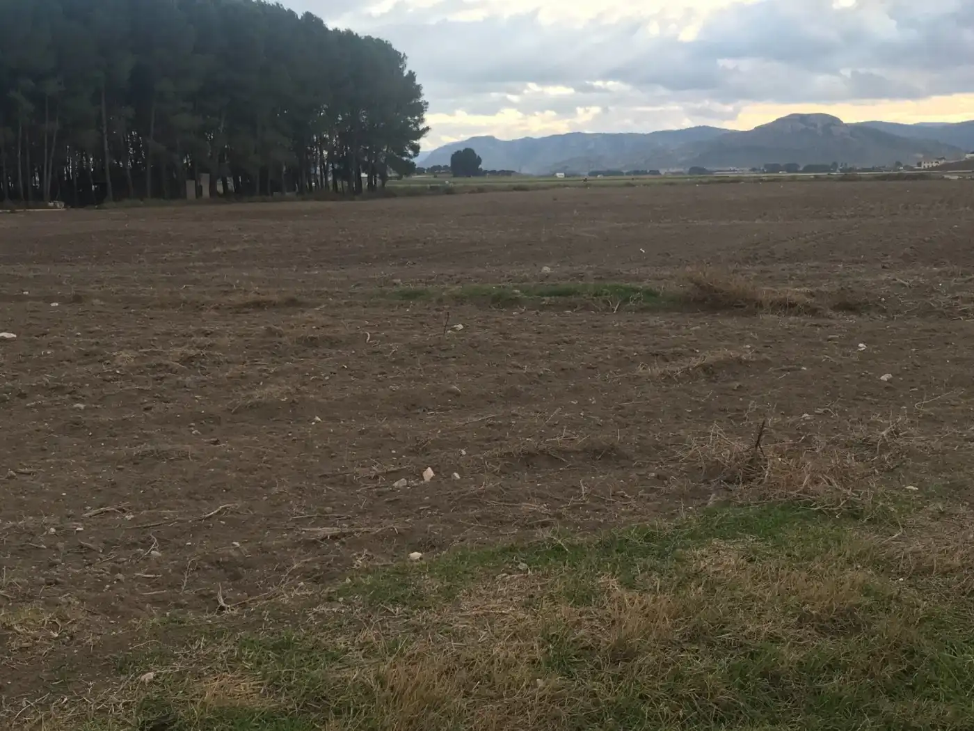 Grundstücke zum Verkauf in Villena
