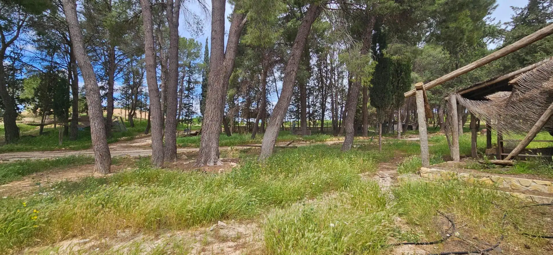 Einzigartige Immobilien zum Verkauf in Caravaca de la Cruz, imagen 69