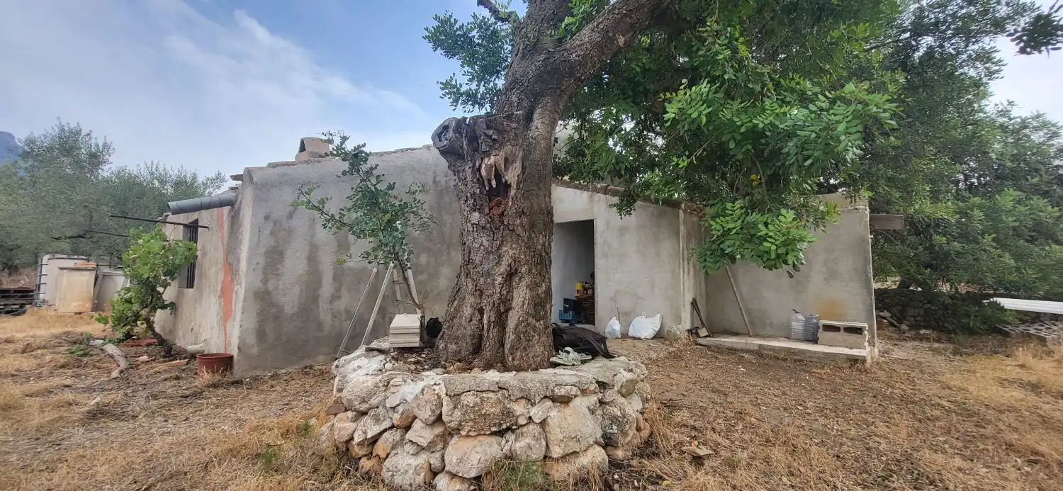 Casa rustica in vendita a Partida Clot de l`Olivera, imagen 21