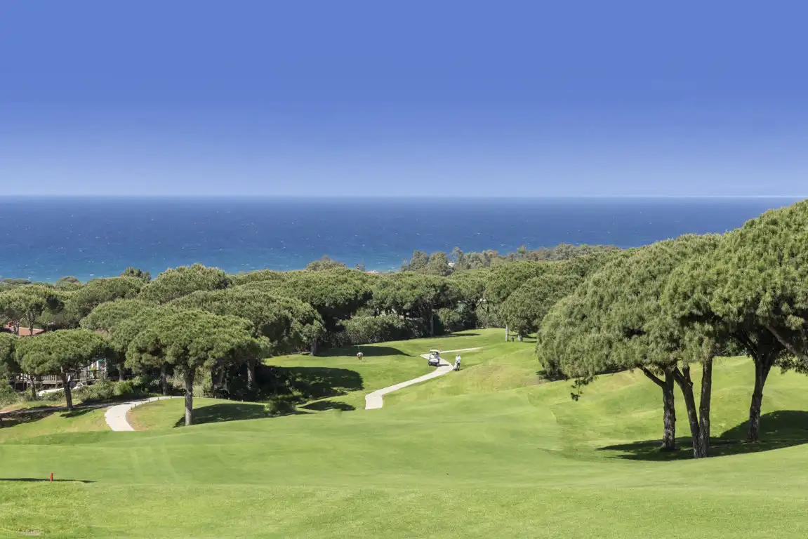 Jardín de Piso en venta en Marbella con Aire acondicionado, Calefacción y Terraza