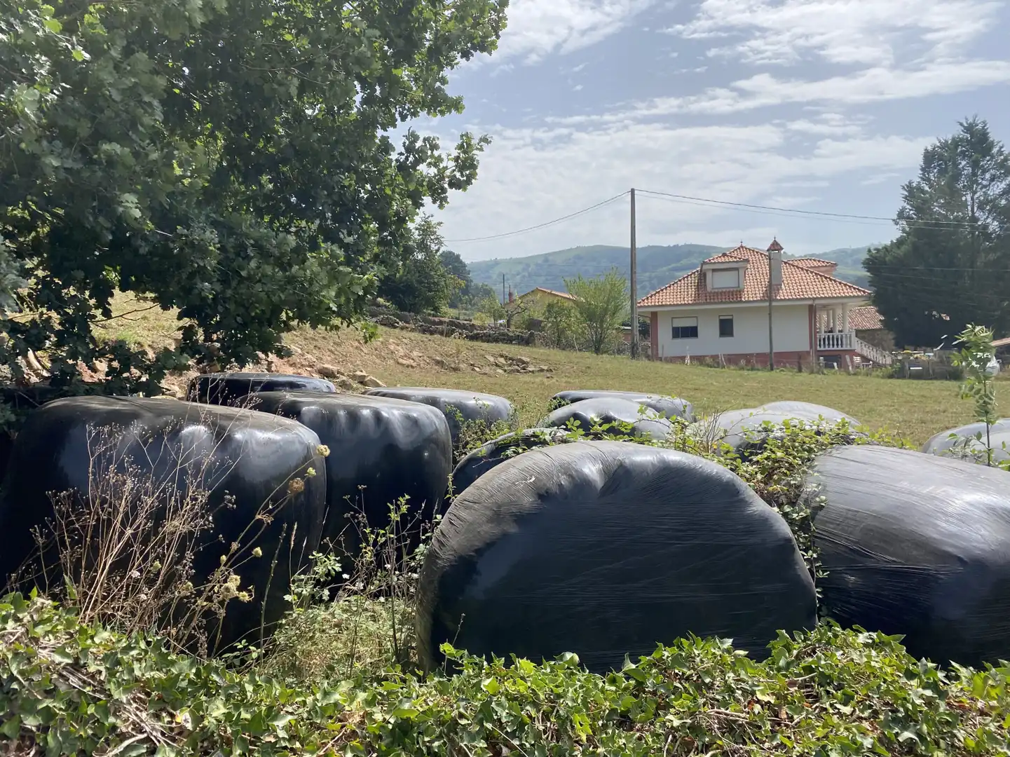 Terreno rustico in vendita a San Juán de Raicedo - SAN JUAN DE RAICEDO 2, imagen 6