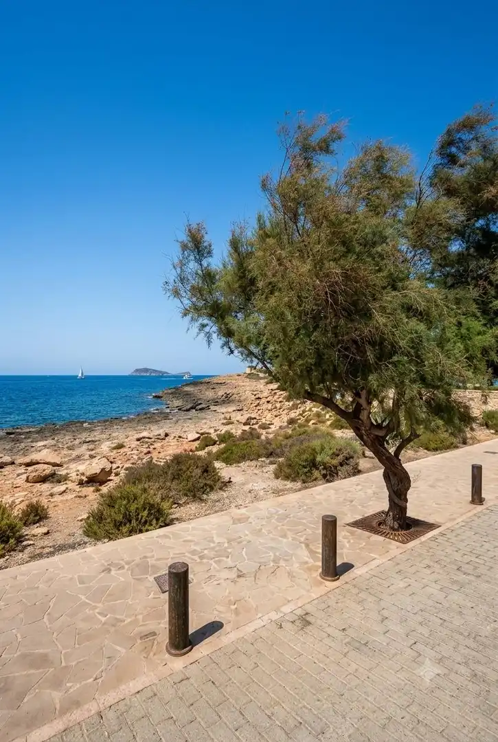 Flat for sale in Ses Salines