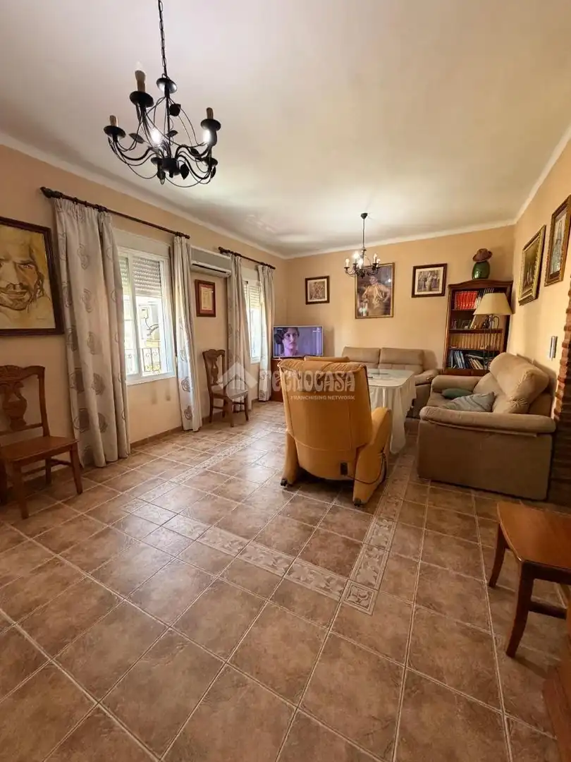 Sala de estar de Casa adosada en venta en Antequera