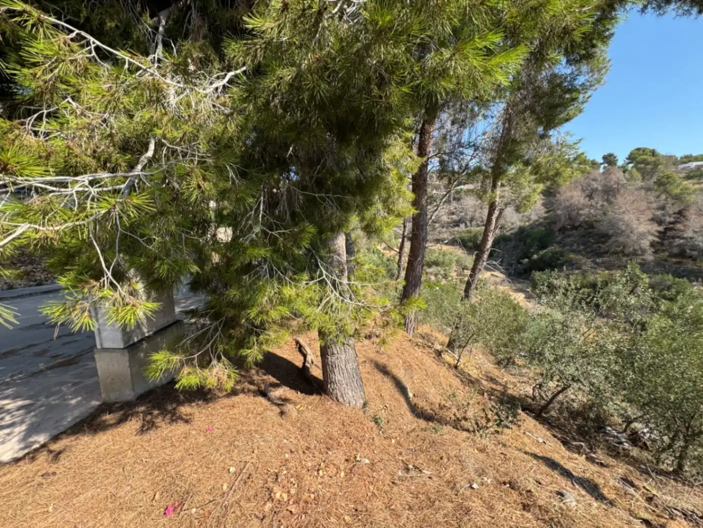 Wohnbaugrundstück zum Verkauf in La Fustera, imagen 9