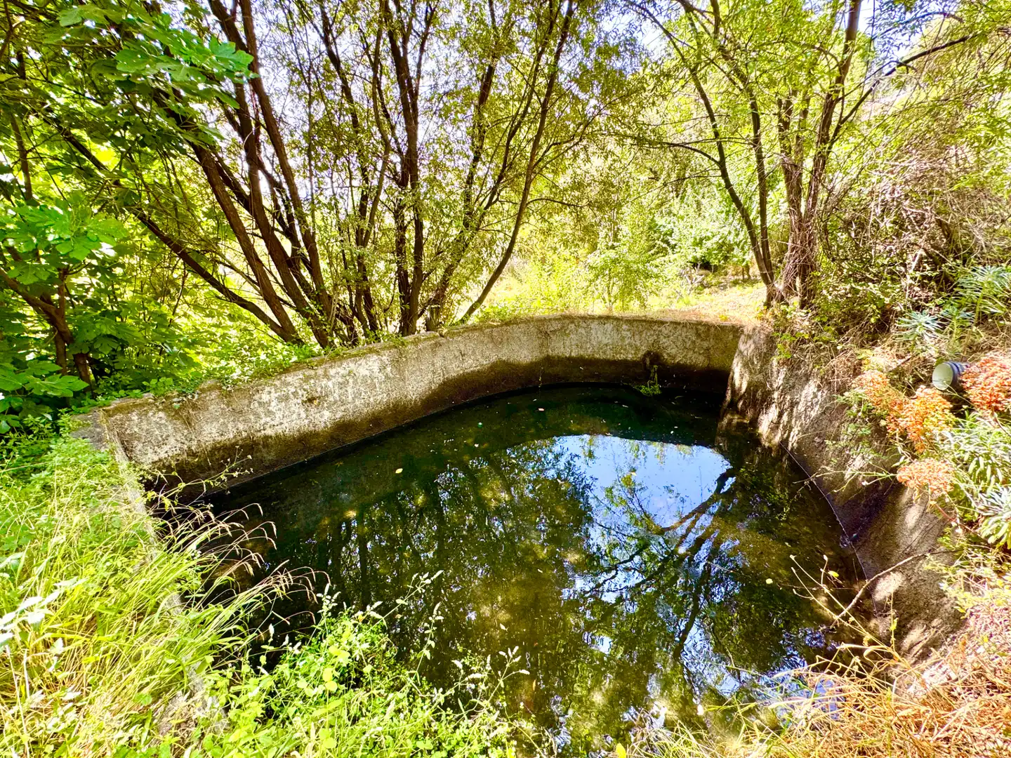 Piscina de Finca rústica en venta en Alpujarra de la Sierra