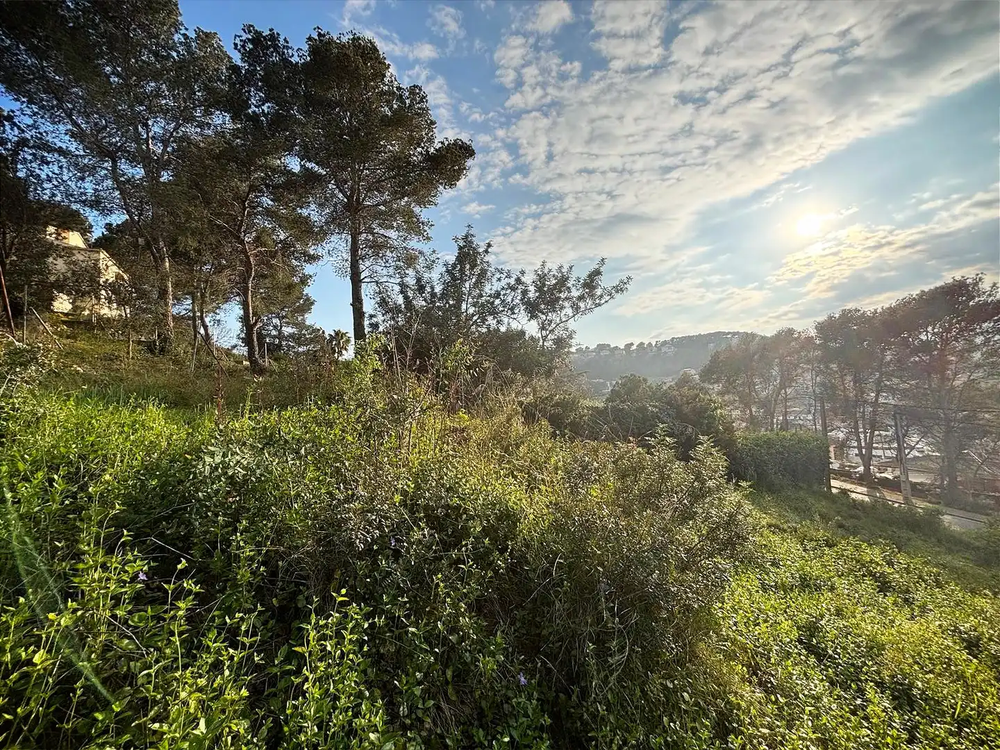 Terreno residencial en venta en Canyelles, imagen 8