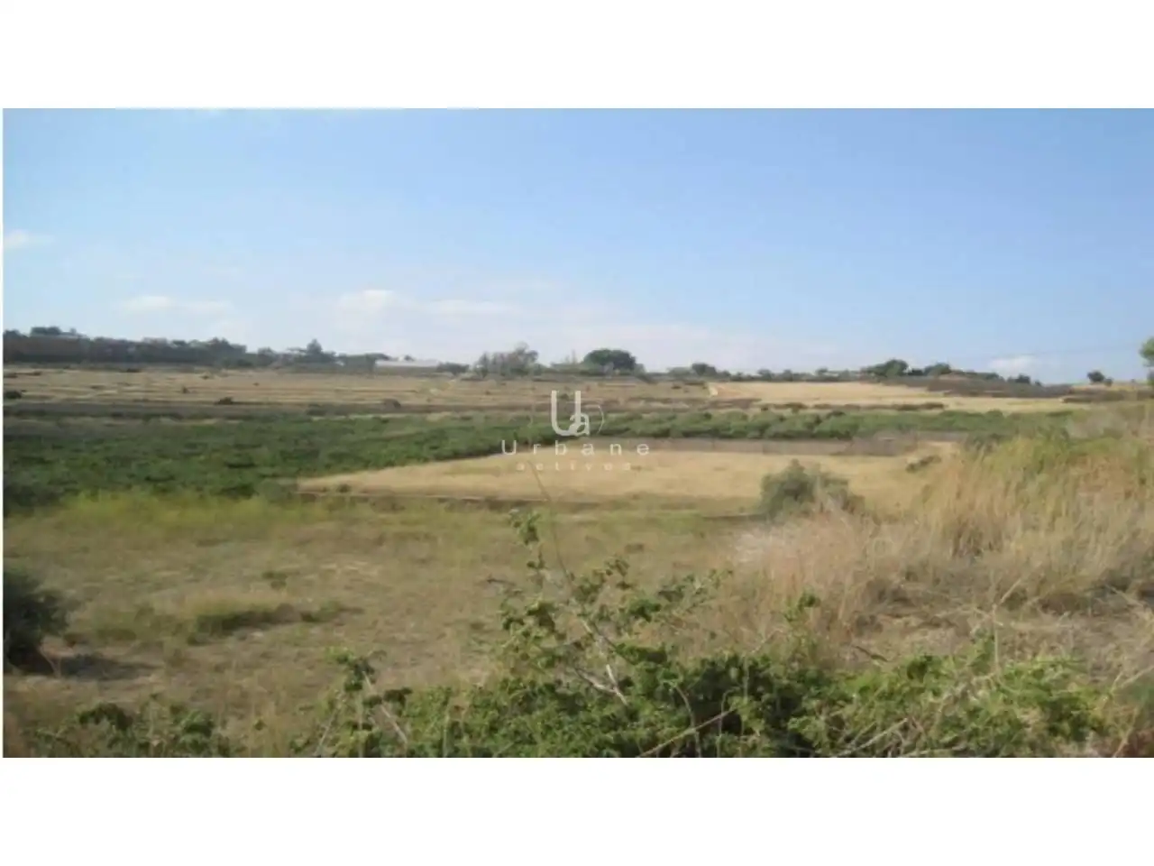 Terreno rústico en venta en Sector VERTXI XXI POLIGONO 7, imagen 6