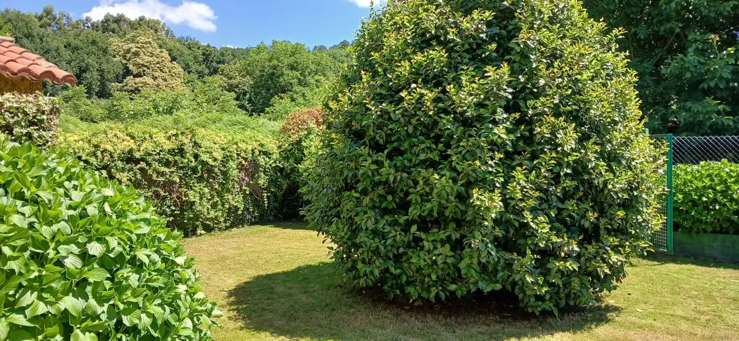 Casa con giardino in vendita a esgos, imagen 6