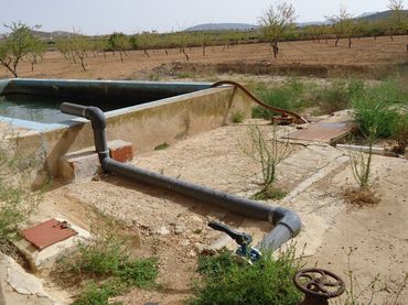 Terreny rústic en venda a Jumilla