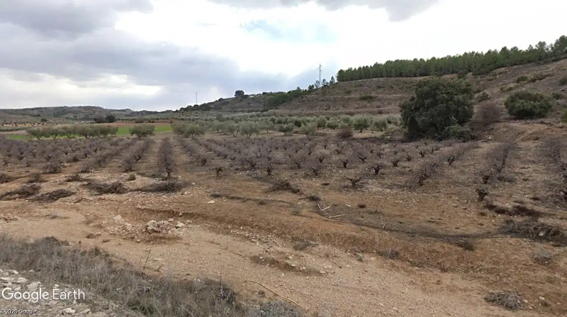 Rural land for sale in Villarejo de Salvanés, imagen 3
