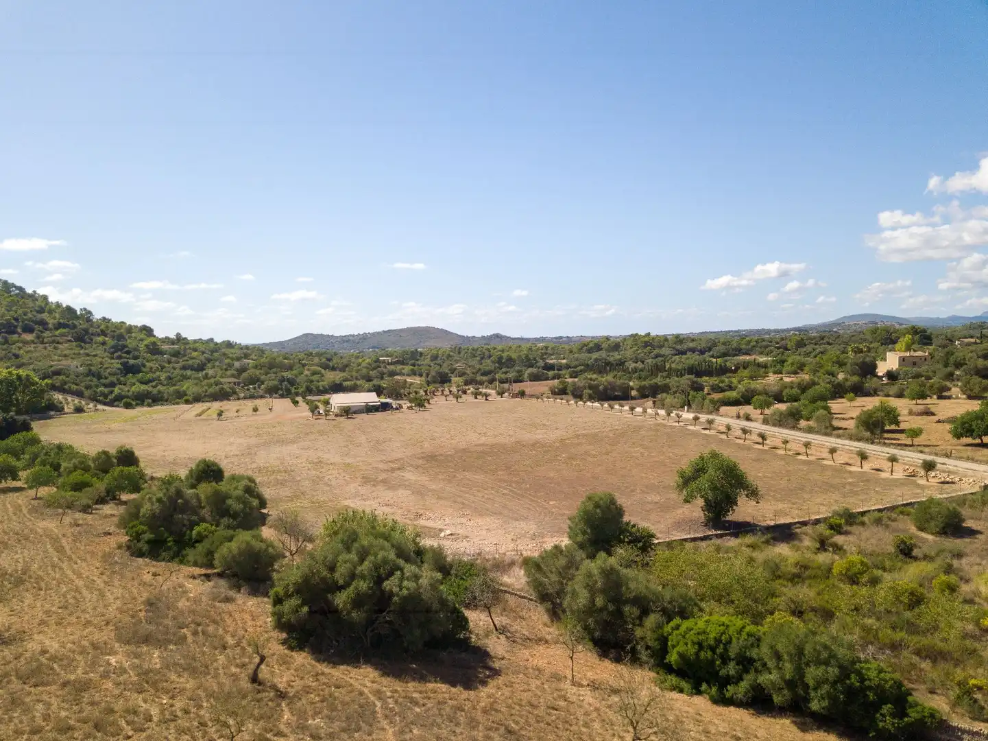 Rural land for sale in Son Vives, imagen 8