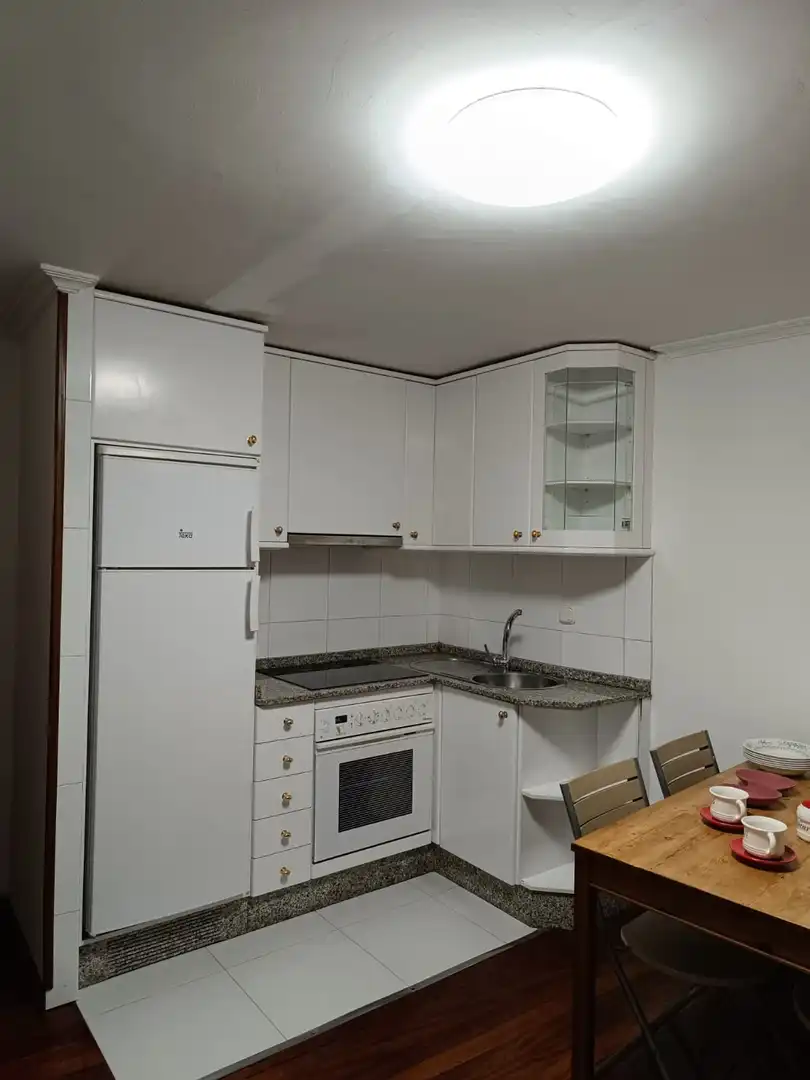 Cocina de Piso en venta en Santiago de Compostela  con Calefacción, Amueblado y Balcón