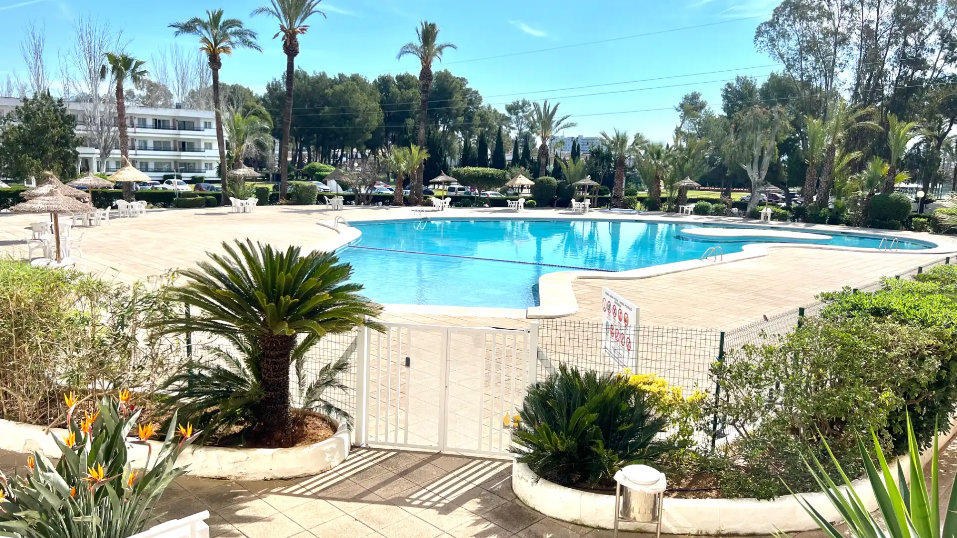 Piscina de Estudio en venta en Alcúdia con Aire acondicionado, Terraza y Trastero