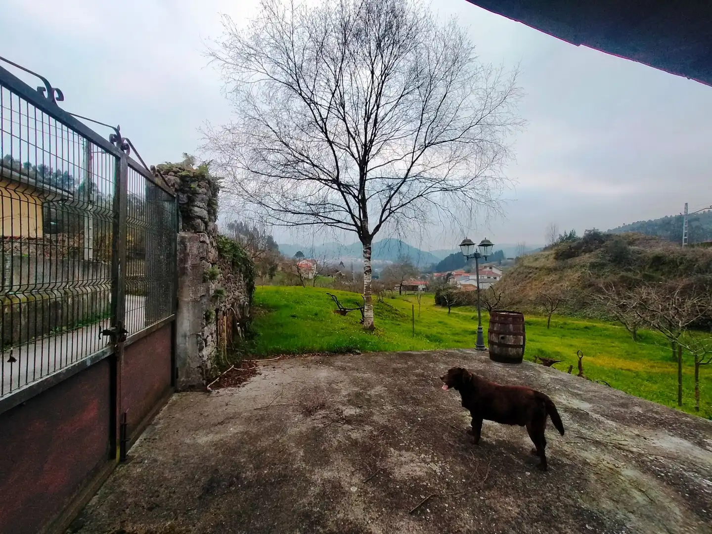 Terreni e lotti in vendita a Pravia, imagen 13