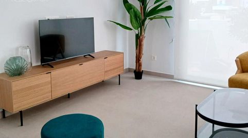 Villas quad de 3 dormitorios, sótano y jardín en Bigastro, imatge 3