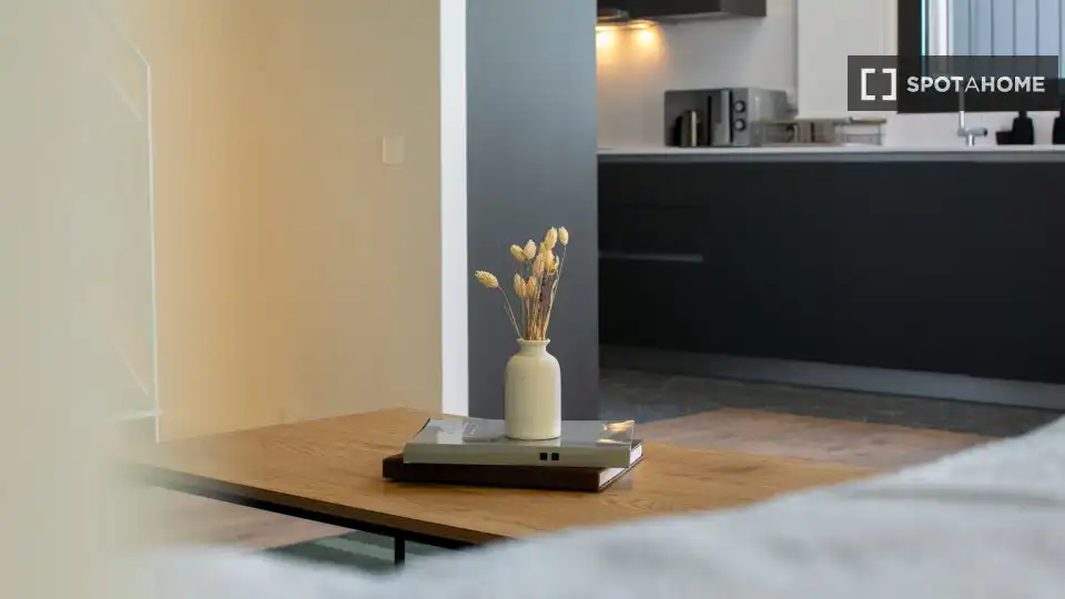 Living room of Flat for share in Barcelona  with Air Conditioner, Heating and Furnished