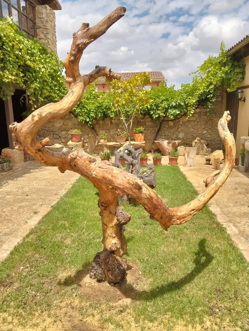Jardí de Edifici en venda en Valdunquillo