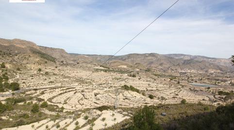 Foto 4 de Finca rústica en venda a Relleu, Alicante