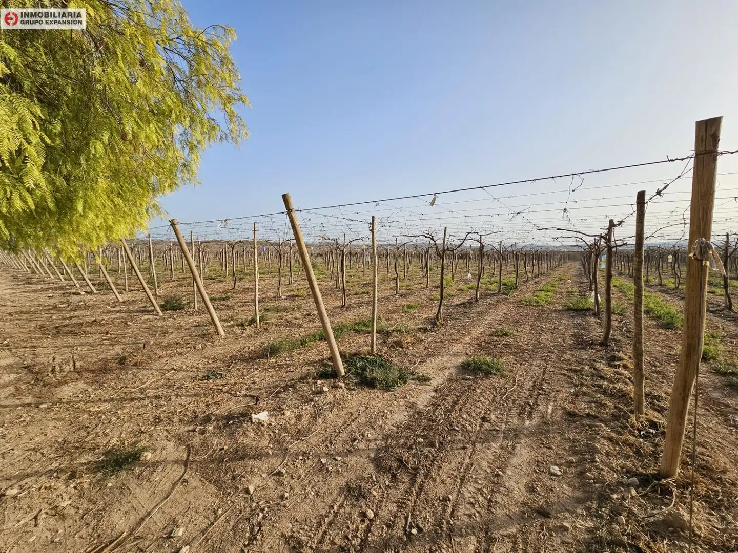 Casa o xalet en venda en Monforte del Cid amb Jardí privat i Traster
