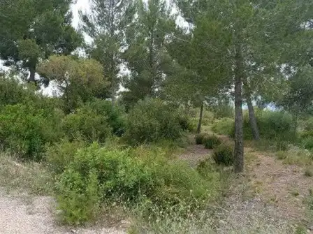 Terreny rústic en venda a PT Urb La Foya, imagen 7