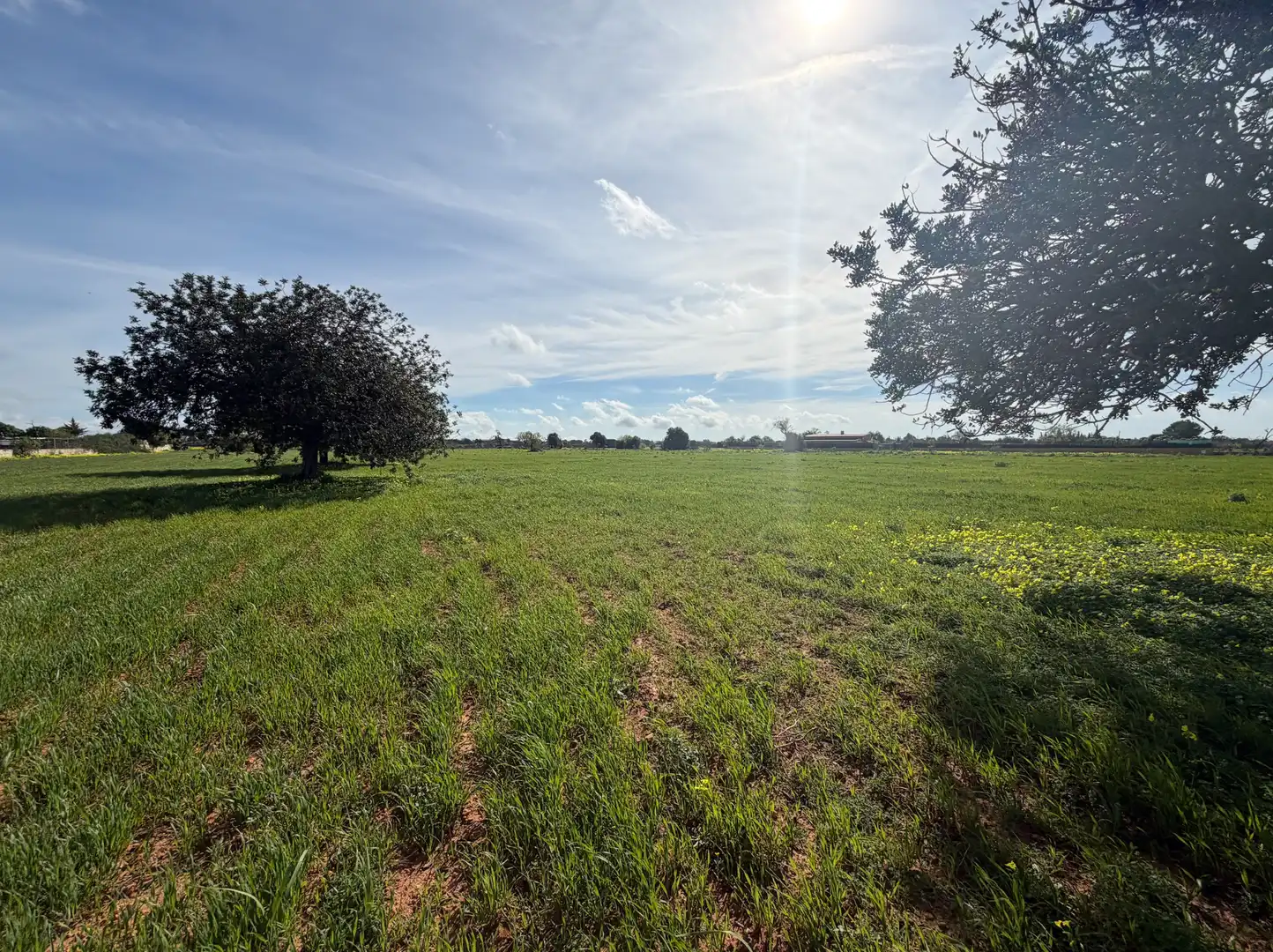 Terreno en venta en Llucmajor pueblo