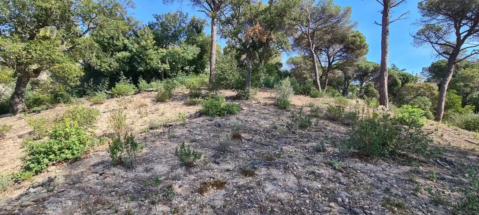 Residential land for sale in Carrer Congost, imagen 4
