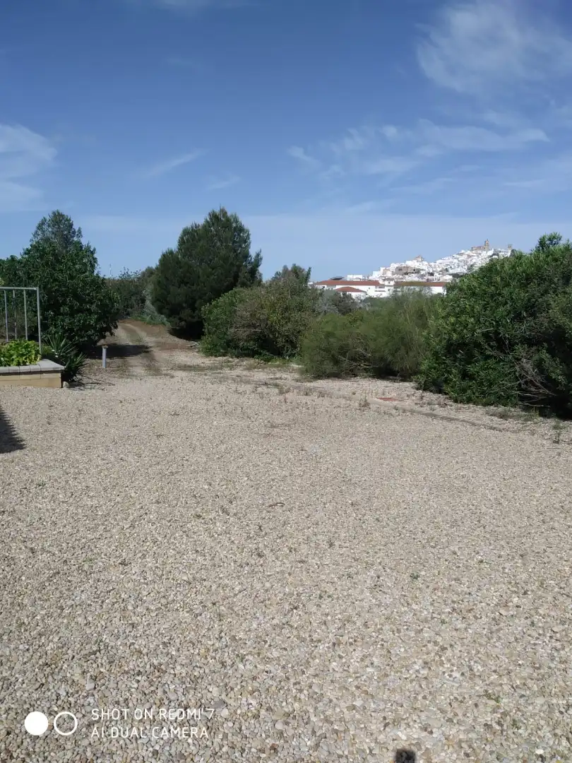 Terreny rústic en venda a Arcos de la Frontera, imagen 19