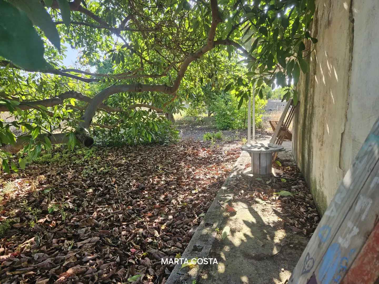 Terreno en venta en Almoines