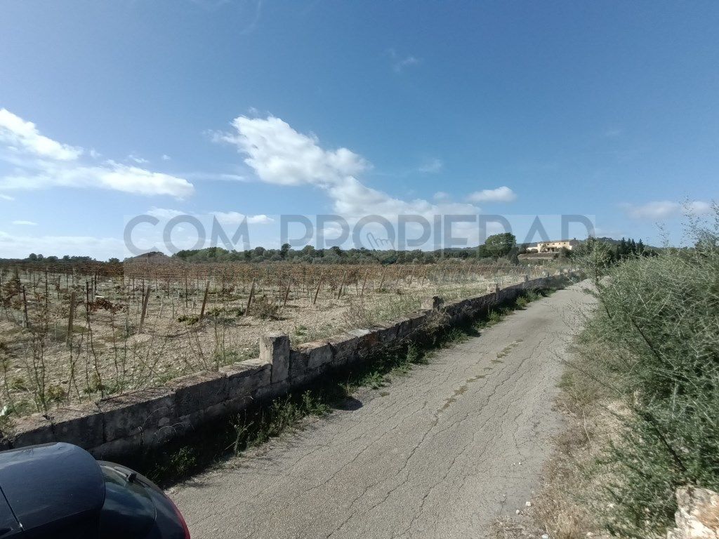 Casa o xalet en venda en Petra