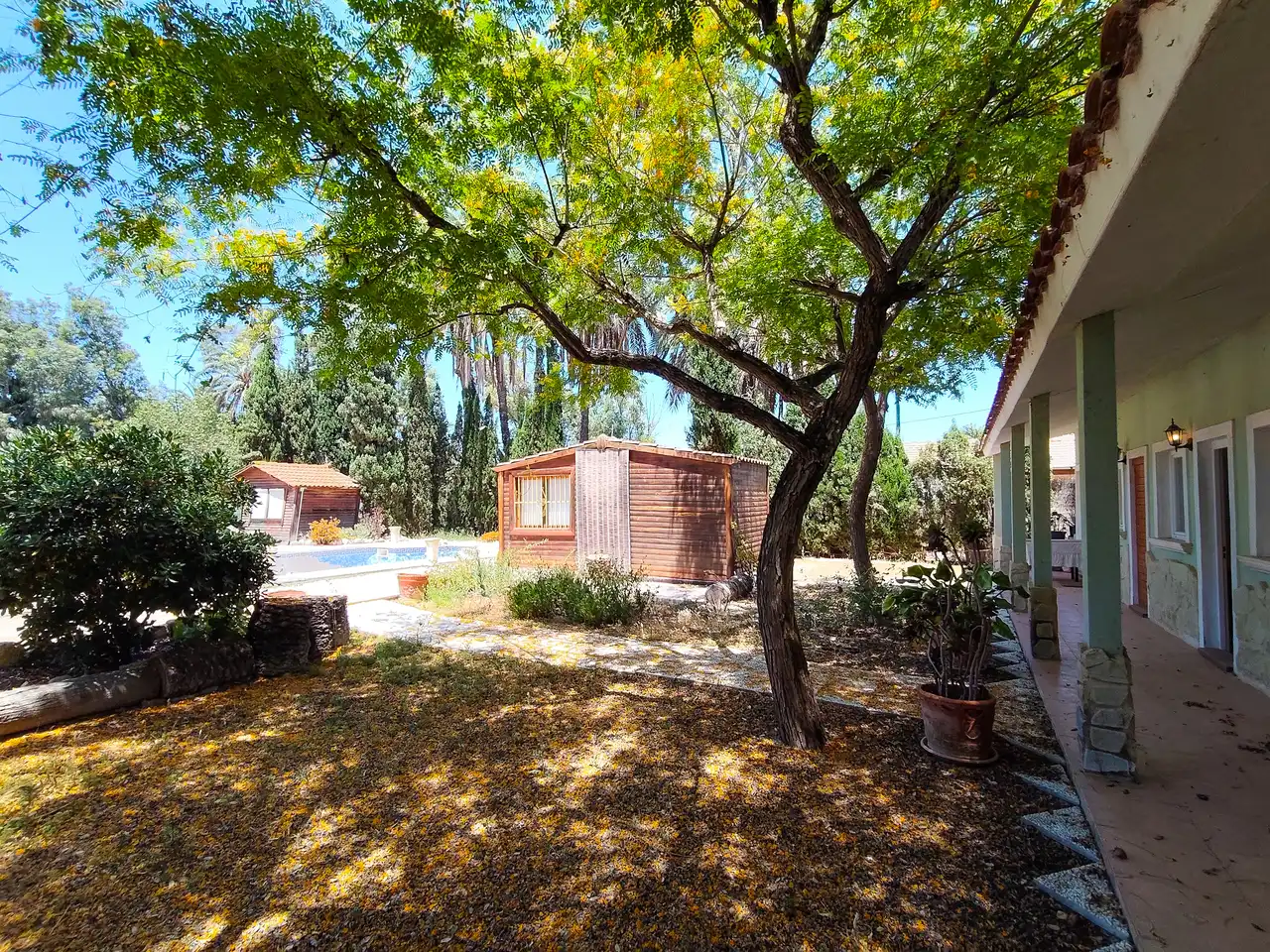 Jardí de Casa o xalet en venda en Elche / Elx amb Jardí privat, Terrassa i Piscina