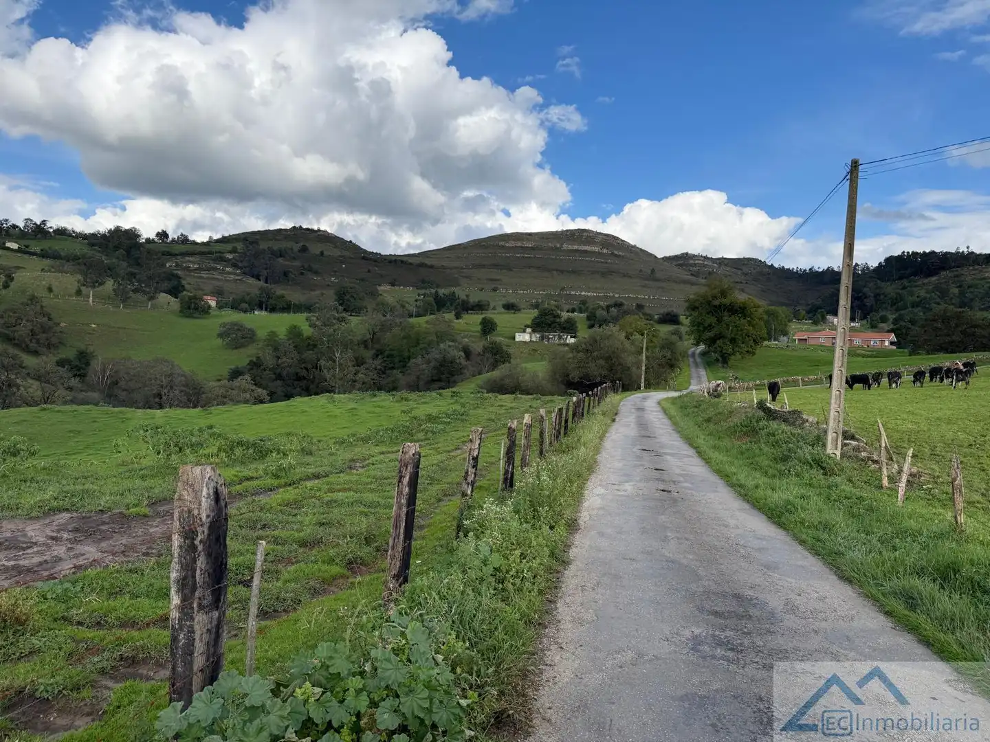 Exterior view of Industrial buildings for sale in Riotuerto