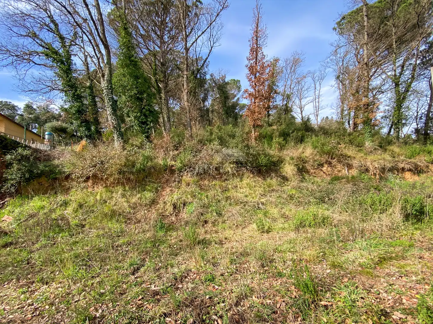Terrenos y solares en venta en Massanes, imagen 3