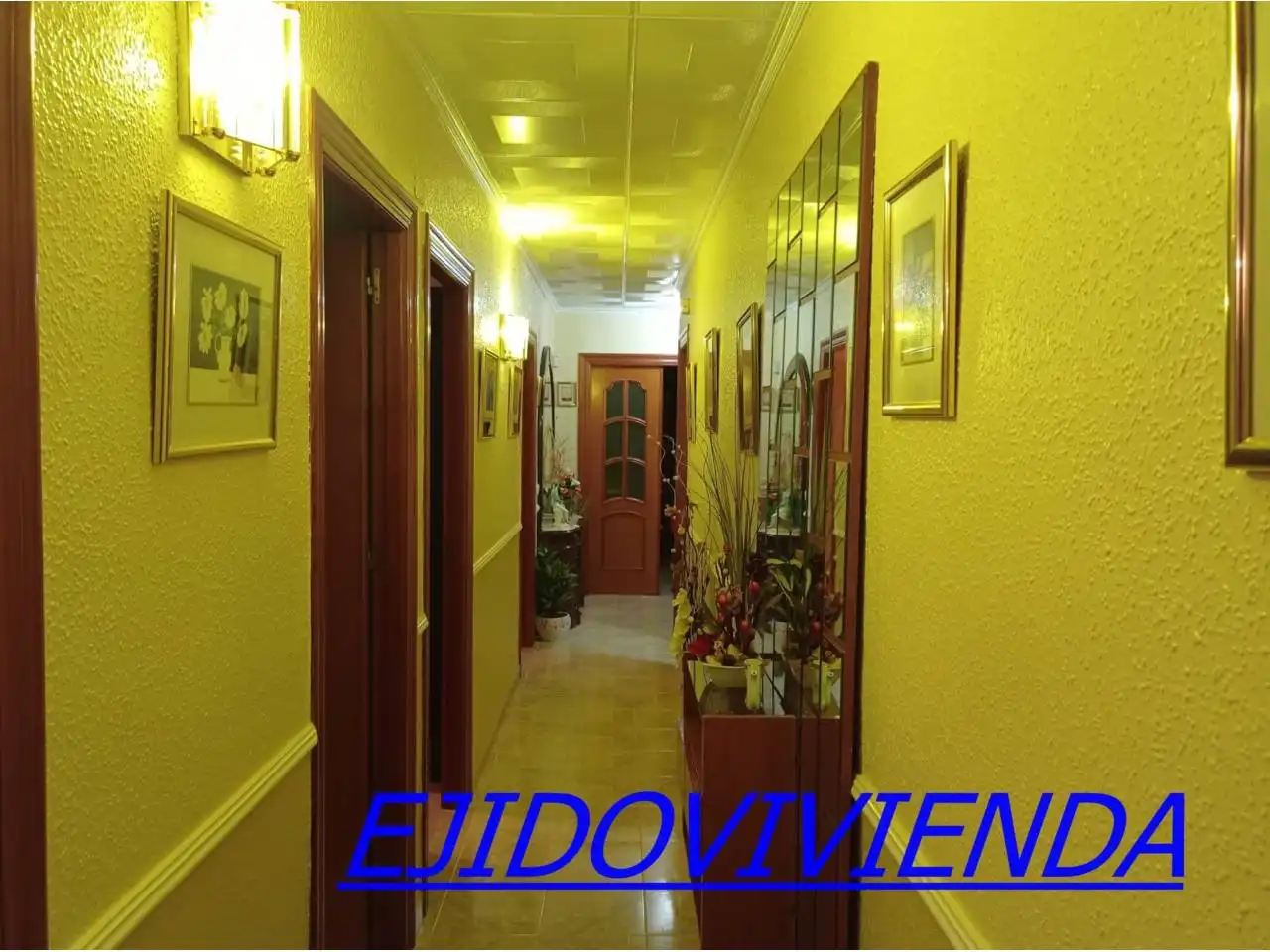 Maison à vendre à El Ejido Ciudad, imagen 3