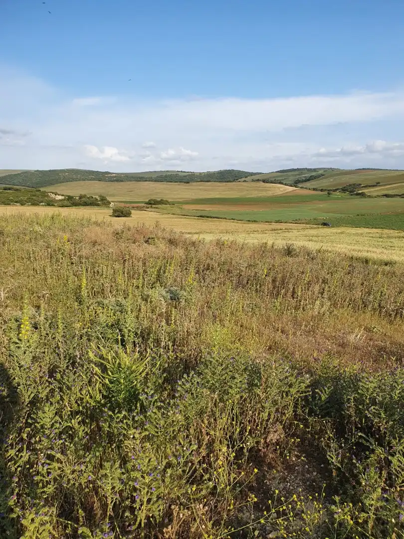 Terrenys i solars en venda a Medina Sidonia, imagen 4