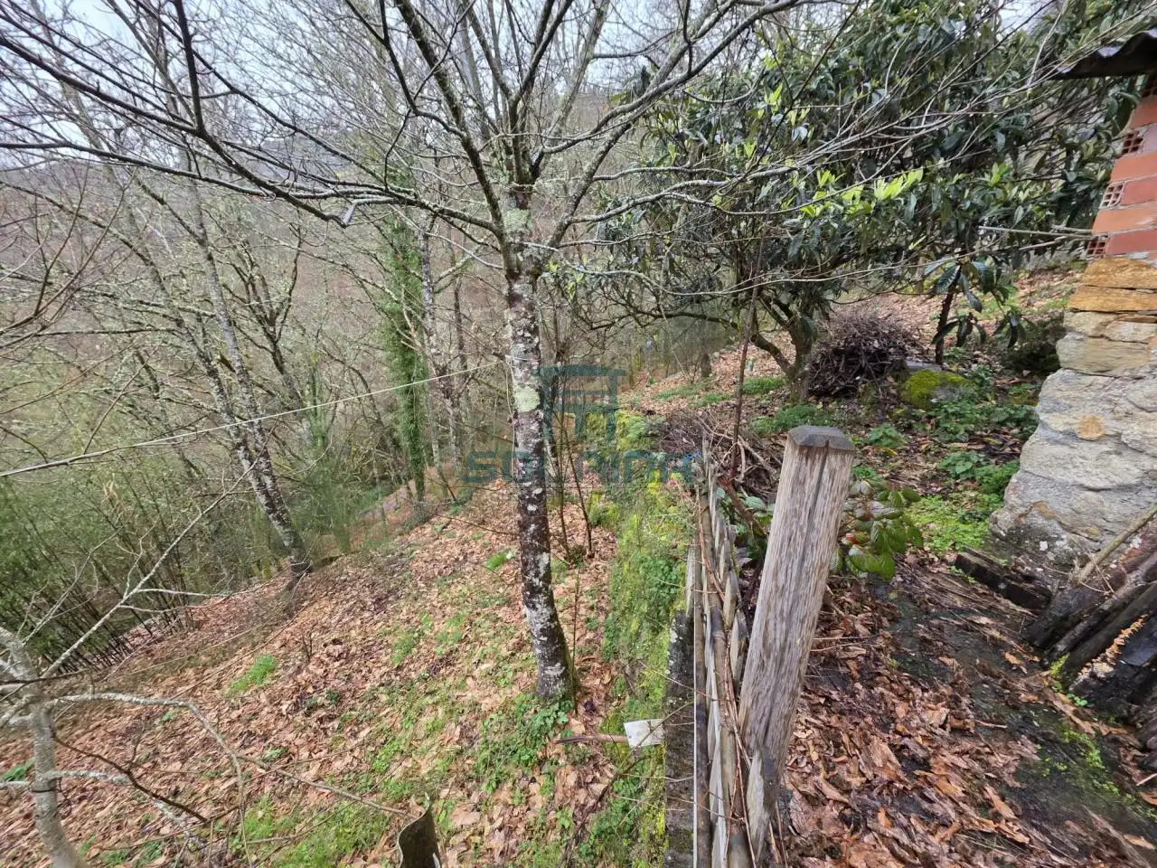 Casa o xalet en venda en Pantón amb Calefacció i Jardí privat