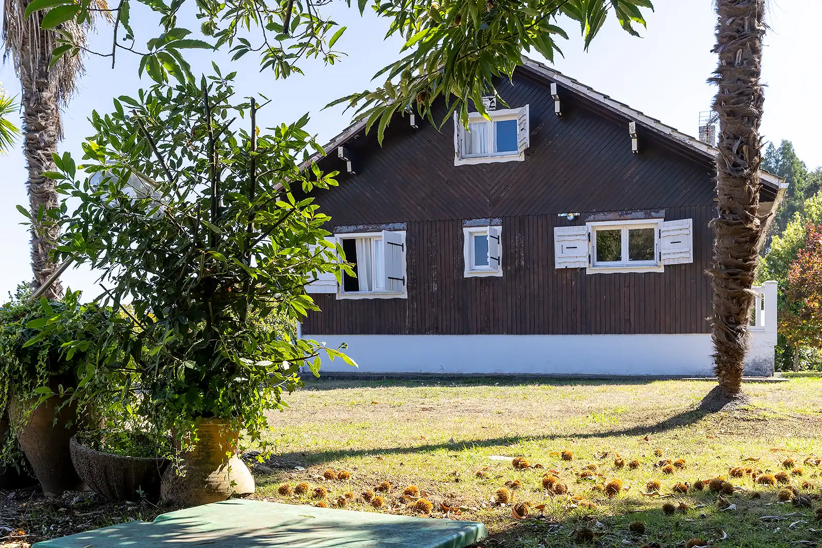 Vista exterior de Casa o chalet en venta en Oleiros con Calefacción, Jardín privado y Piscina