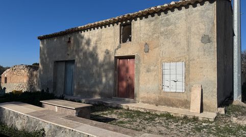 Finca de regadío con cortijo y almacenes gran oportunidad de inversion, immagine 3