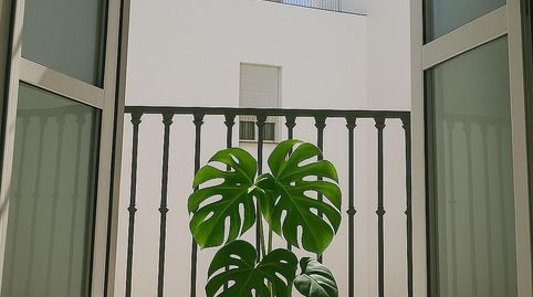 Foto 2 von Wohnung zur Miete in Calle Calle Santa Ángela de la Cruz, 39, Encarnación - Regina, Sevilla Capital