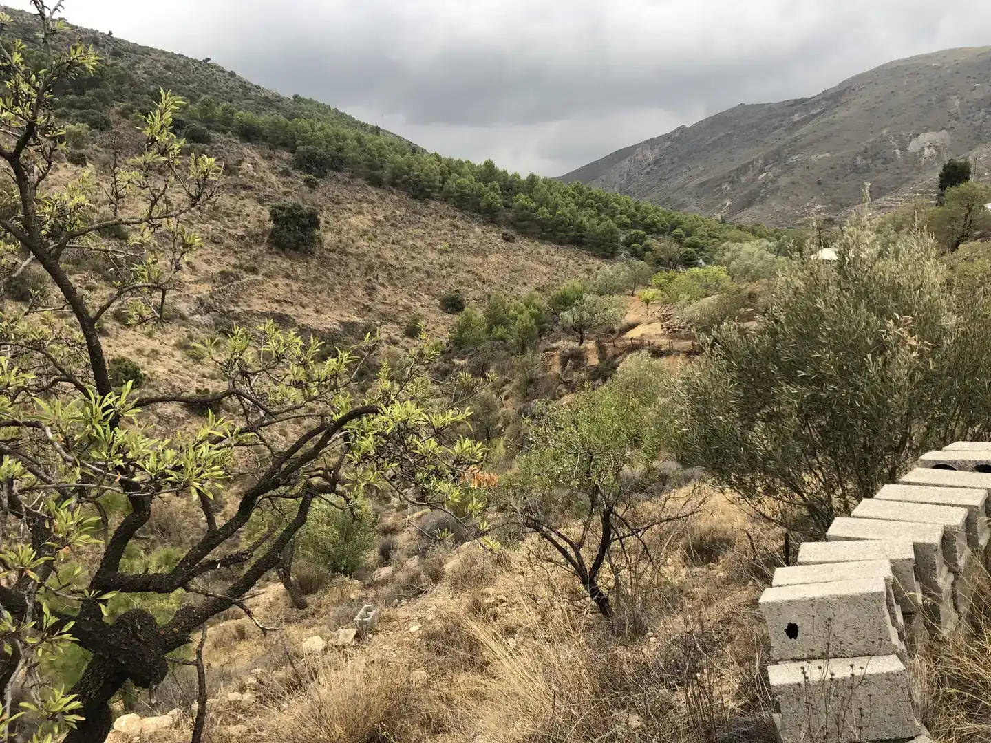 Finca rústica en venda en Enix